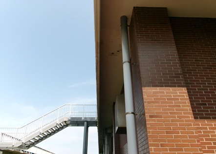 画像４